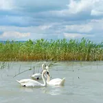 Hotel Lelle Balatonlelle