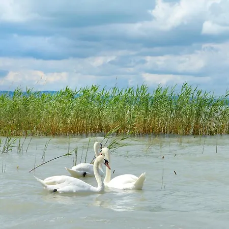 Hotel Lelle Balatonlelle