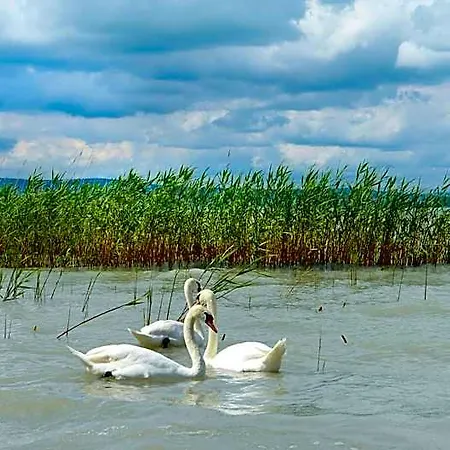 Lelle Hotel Balatonlelle