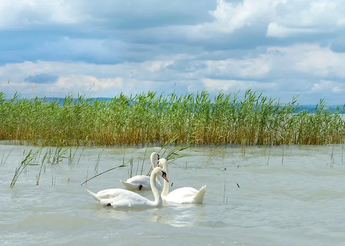 Szálloda Lelle Balatonlelle